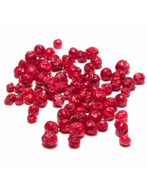 Liofilizált piros ribizli - 30g