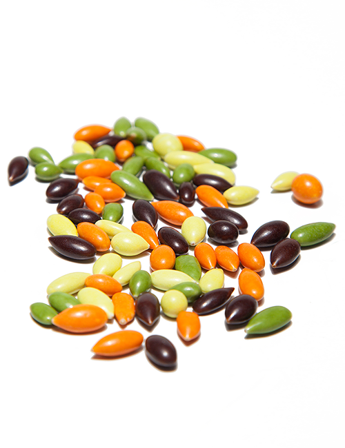 Napraforgó tricolor