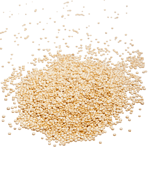 Quinoa