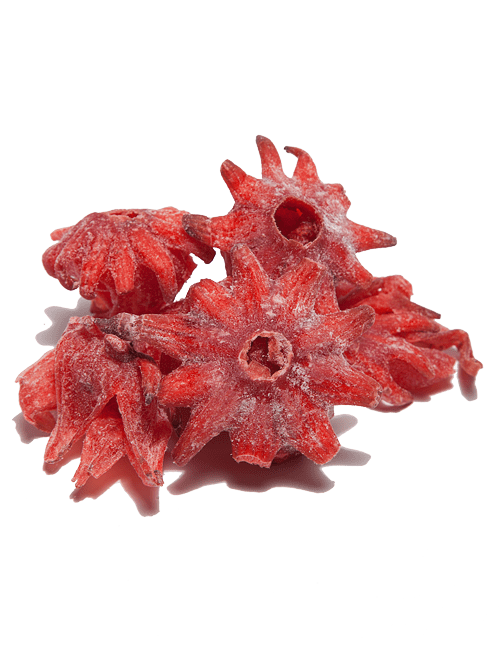 Hibiszkusz - sötét